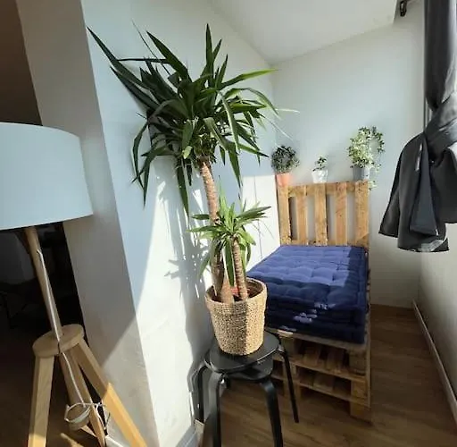 Joli Duplex De 75m2 A 10mn A Pieds De La Le Lavandou